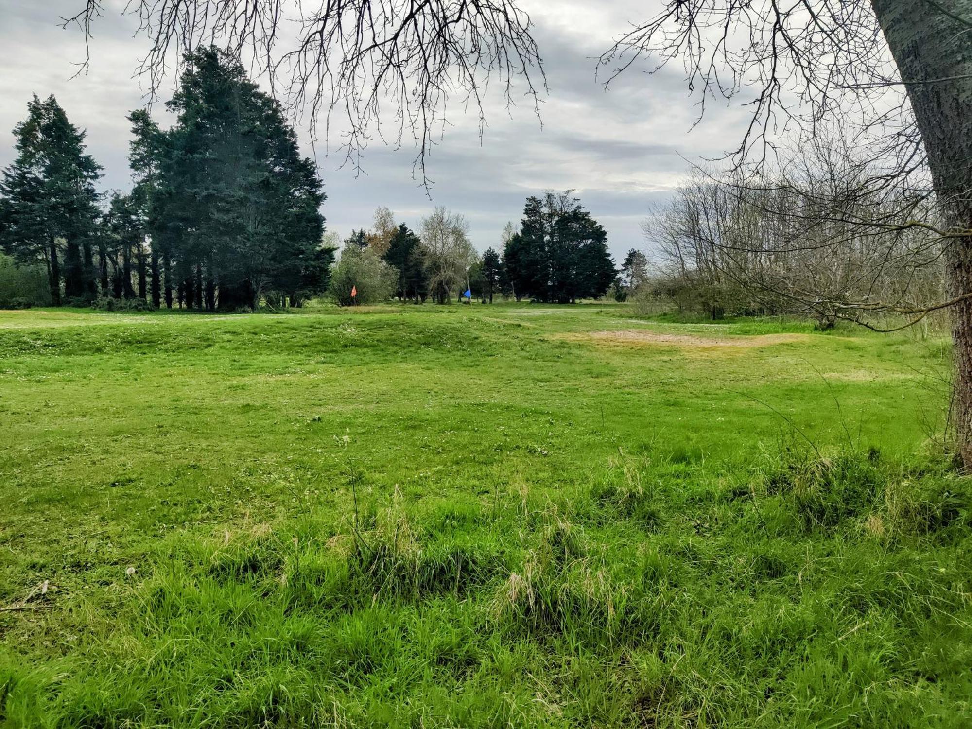 Ravissant Cottage Avec Jardin, Refait A Neuf, 2 A 5 Pers Cabourg Extérieur photo